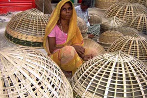 টাঙ্গাইলে বাঁশ-বেতশিল্পের কারিগররা ভিন্ন পেশায়