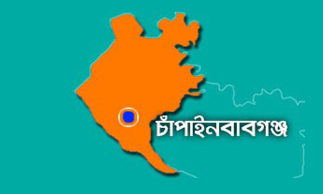 শিবগঞ্জ সীমান্তে অস্ত্র উদ্ধার