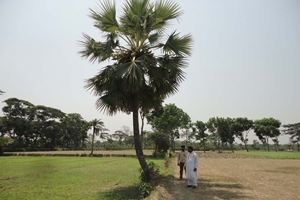 স্বাধীনতার ৪২ বছর পরও বধ্যভূমি অসংরক্ষিত