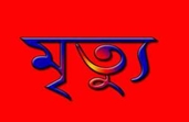 সালিসে ছুরিকাঘাতে আহত দুই ভাইয়ের মৃত্যু