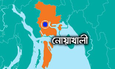 নোয়াখালীতে অস্ত্র ও গুলিসহ ডাকাত আটক