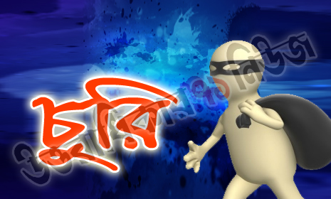 মাগুরায় পরিবারের সবাইকে অচেতন করে চুরি
