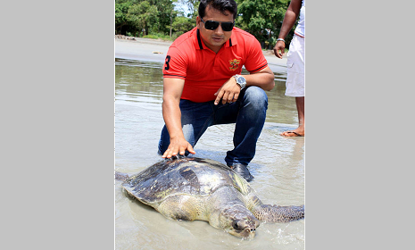 কুয়াকাটা সৈকতে ধরা পড়ল বিরল প্রজাতির কচ্ছপ
