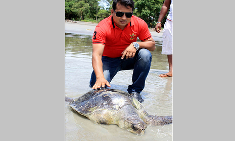 কুয়াকাটা সৈকতে ধরা পড়ল বিরল প্রজাতির কচ্ছপ