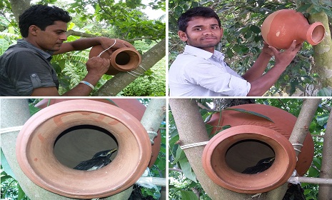 আগনুকালী গ্রাম এখন বন্যপাখির অভয়াশ্রম