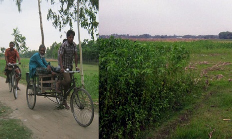 পাটগ্রামের অভ্যন্তরে ভারতীয় ছিটমহলে জনবসতি নেই