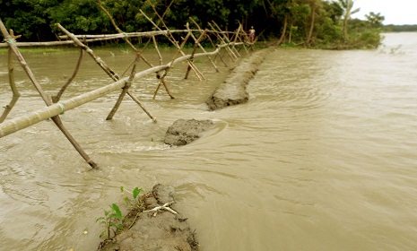 বিষখালী নদীর বাঁধ ভেঙে অসংখ্য গ্রাম প্লাবিত