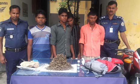 পিরোজপুরে গাঁজাসহ ৪ মাদক ব্যবসায়ী আটক