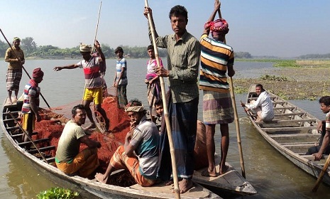 কুষ্টিয়ায় বিল নিয়ে হামলা আতঙ্ক, থানায় অভিযোগ