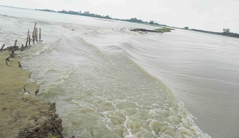 হাওরে বন্যা: পাউবোর ৩ প্রকৌশলী বরখাস্ত