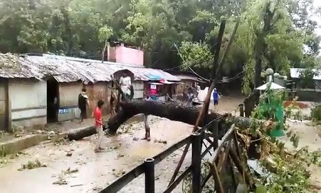 ঘুর্ণিঝড় মোরা’র আঘাতে বান্দরবানে বাড়ীঘর বিধ্বস্ত, গাছপালার ব্যাপক ক্ষতি