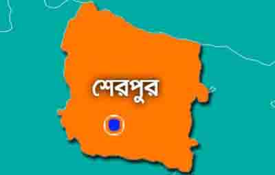 শেরপুরে বেয়াইয়ের ঘুষিতে বেয়াই নিহত, আটক ৩