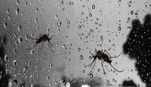 জাজিরায় ডেঙ্গু জ্বরে যুবকের মৃত্যু