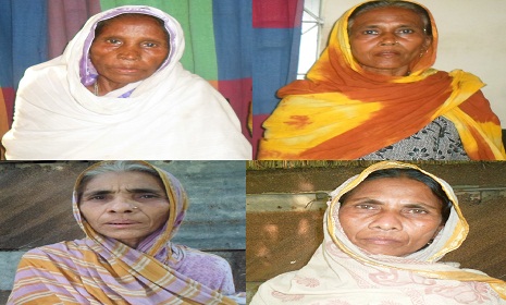৪৬ বছর পর বীরঙ্গনার স্বীকৃতি পেল জামালপুরের ৫ সাহসী নারী