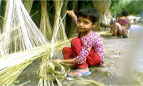 হাড় ভাঙ্গা শ্রমের মূল্য পাচ্ছে না কৃষক