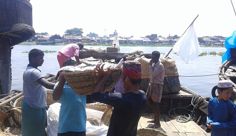 ইলিশে সয়লাভ চাঁদপুর মাছঘাট