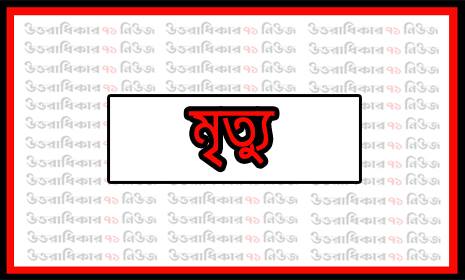শেরপুরে গরুর ঘাস কাটতে গিয়ে প্রাণ গেল কাঠমিস্ত্রীর