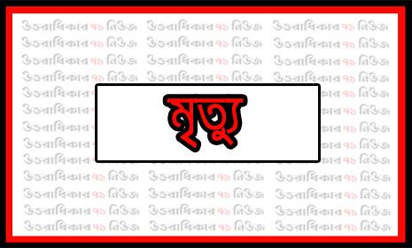 শেরপুরে গরুর ঘাস কাটতে গিয়ে প্রাণ গেল কাঠমিস্ত্রীর