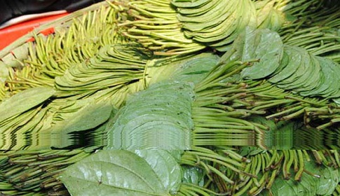 চাটমোহরে পানের দাম বেড়েছে