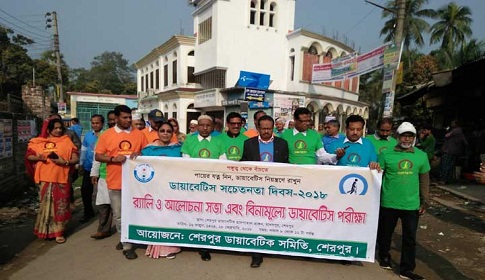 শেরপুরে ডায়াবেটিস সচেতনতা দিবসে র্যালি