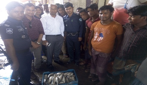 সুবর্ণচরে জাটকা বিক্রি করায় ভ্রাম্যমান আদালতের জরিমানা
