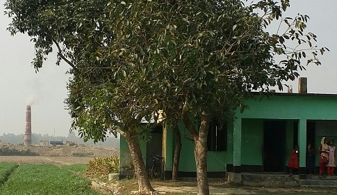 রানীশংকৈলে বিদ্যালয় ঘেঁষে চলছে ইটভাটা