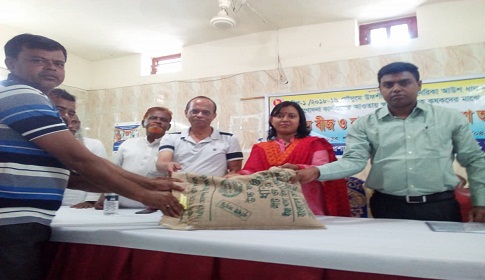 শালিখায় কৃষকদের মাঝে বিনামূল্যে বীজ সার বিতরণ