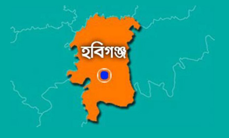 সীদাই সীমান্তে দুই বাংলাদেশি যুবক আটক