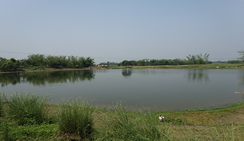 রানীশংকৈলে নারী লেলিয়ে সরকারি কাজে বাধা