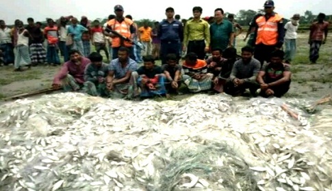 রায়পুরে জাটকা জব্দ, ১০ জেলের জরিমানা