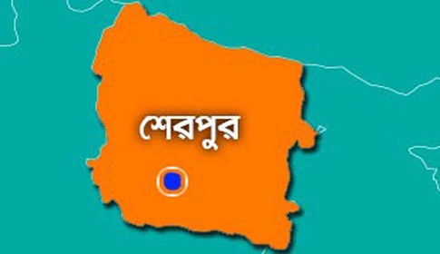 শেরপুরে জিপিএ-৫ পেয়েছে ৯৬৮ জন