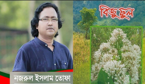 বিজুফুল নামকরণের গুরুত্ব ও সার্থকতার বিশ্লেষণ