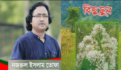 বিজুফুল নামকরণের গুরুত্ব ও সার্থকতার বিশ্লেষণ 