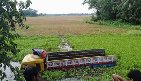 গোপালগঞ্জে ট্রাক উল্টে ৩ শ্রমিক নিহত