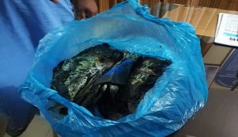 স্ত্রীর উপর রাগ করে কোরআন পুড়ালেন স্বামী