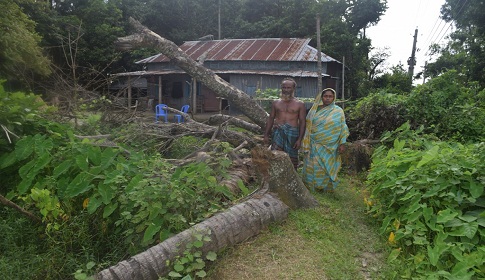 হালুয়াঘাটে অসহায় পরিবারকে উচ্ছেদ চেষ্টার অভিযোগ