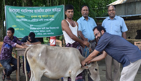 গৌরীপুরে গবাদি পশুকে ভ্যাকসিন প্রদান