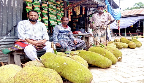 রাণীনগরের হাট-বাজারে শোভা পাচ্ছে জাতীয় ফল কাঁঠাল