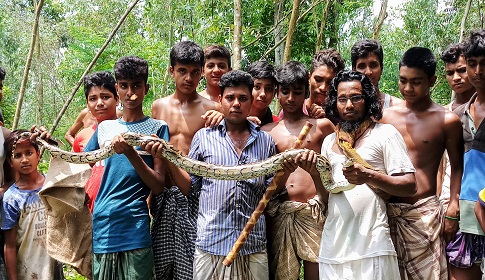 সিরাজগঞ্জের এনায়েতপুরে সাত ফুট দীর্ঘ অজগর উদ্ধার