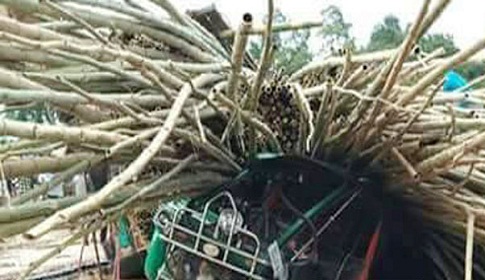 উখিয়ায় বাঁশভর্তি ট্রাক উল্টে নিহত ৪