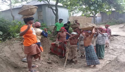 উল্লাপাড়ায় স্বেচ্ছাশ্রমে রাস্তা নির্মাণ করছেন গ্রামবাসী