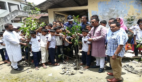 আমতলীতে শহীদদের স্মরনে ১৪ হাজার গাছের চারা রোপন