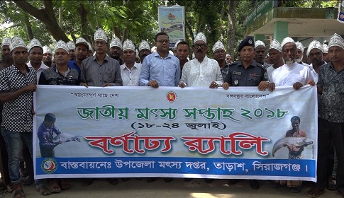 তাড়াশে জাতীয় মৎস্য সপ্তাহ উপলক্ষে আলোচনা সভা