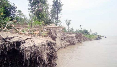 টাঙ্গাইলে যমুনার ভাঙন অব্যাহত, শতাধিক বাড়ি বিলীন