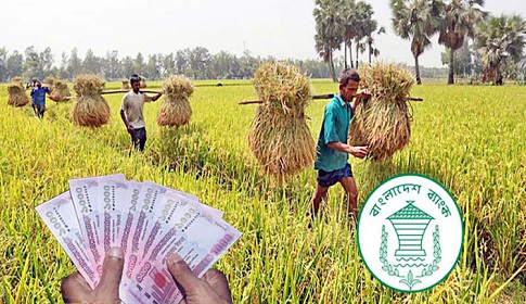 ২১ হাজার ৮০০ কোটি টাকা ঋণ পাবেন কৃষকরা