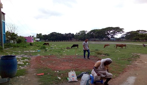 বিদ্যালয়ের খেলার মাঠে পশুর হাট না বসানোর দাবি