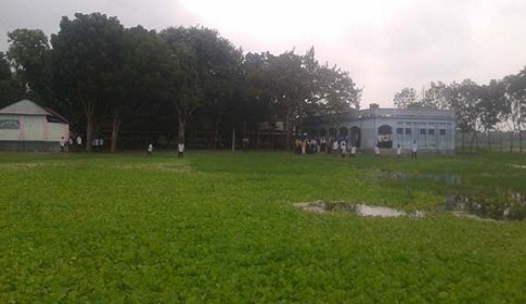 বড়াইগ্রামের উপলশহর উচ্চ বিদ্যালয়ে জলাবদ্ধতায় মাঠ জুড়ে জন্মেছে কচুিরপানা