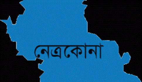 কেন্দুয়ায় ভাইয়ের হাতে ভাই খুন