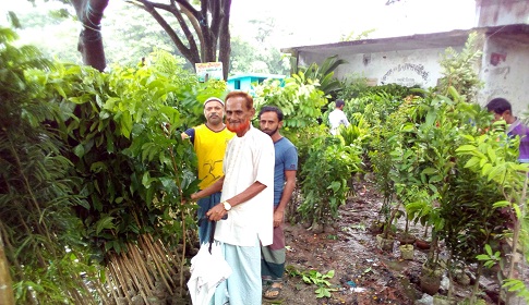 মির্জাগঞ্জে বর্ষা মৌসুমে চারা গাছের বেচাকেনা বেশ জমজমাট হয়ে উঠেছে