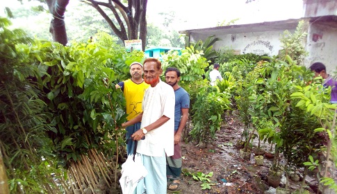 মির্জাগঞ্জে বর্ষা মৌসুমে চারা গাছের বেচাকেনা বেশ জমজমাট হয়ে উঠেছে